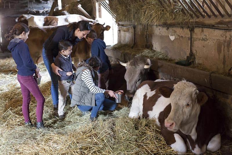 Animations pour enfants